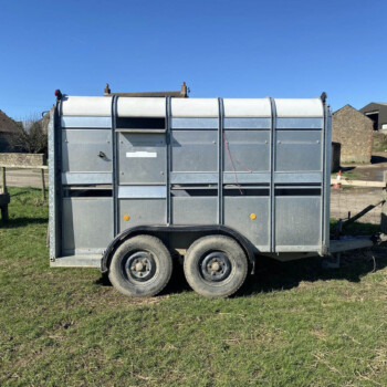 DUE IN: Ifor Williams Livestock Trailer For Sale
