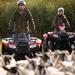 Two riders on ATVs in a natural setting, with a pack of dogs running in the foreground.