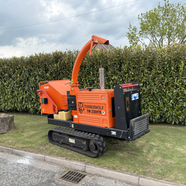 Orange Timberwolf TW 230VTR stump grinder on tracks beside a hedge by the roadside.