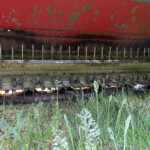 Underside of a weathered red farm implement with vertical metal tines, resting on a concrete strip and surrounded by tall grass and weeds.