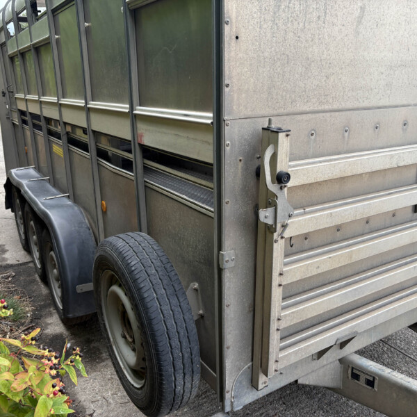 Side view of a weathered metal trailer with vertical panels and twin wheels, parked beside a concrete surface with green plants in the foreground and a brick building in the background.
