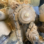 Close-up of a dirty, cracked metal bearing or pulley surrounded by mud and straw in a dusty mechanical setup.