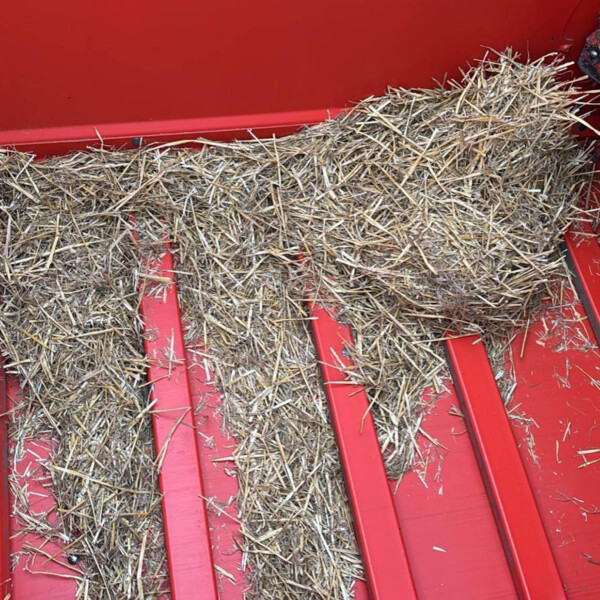 Straw spilled inside a red combine harvester, showing metal feeding trough and blades on the right side.