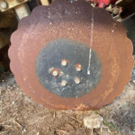Rusty scalloped circular metal plate with bolts, lying on dirt among wood chips.